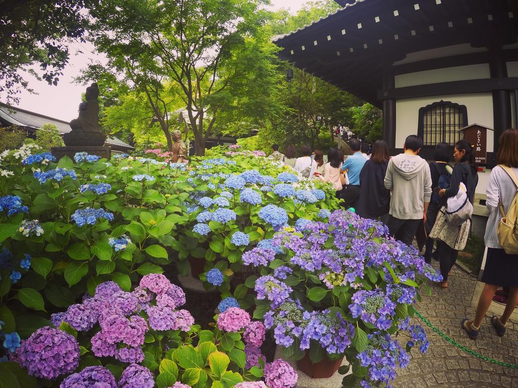 Iza Kamakura Guest House And Bar Exterior foto